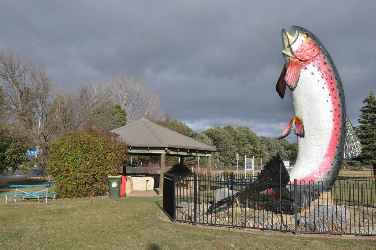 Selwyn Star Lodge Adaminaby Eksteriør billede
